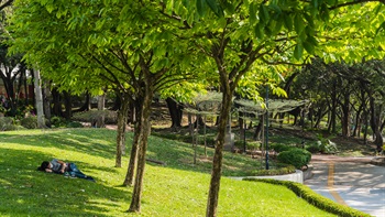 公園的環境寧靜詳和，讓遊人可以輕鬆地閒躺於草坪綠蔭中享受陽光。